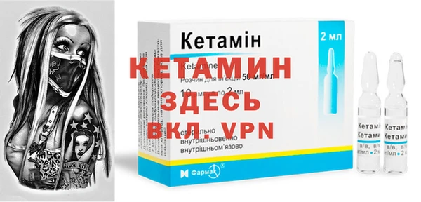 прущие грибы Новозыбков