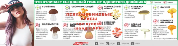 spice Новодвинск