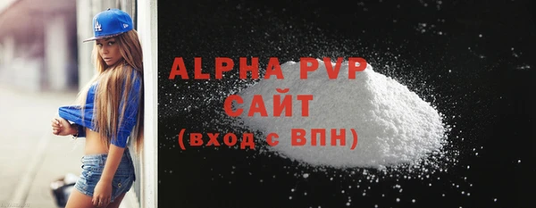 прущие грибы Новозыбков