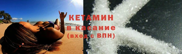 прущие грибы Новозыбков