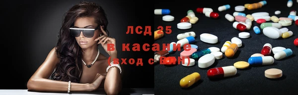 spice Новодвинск