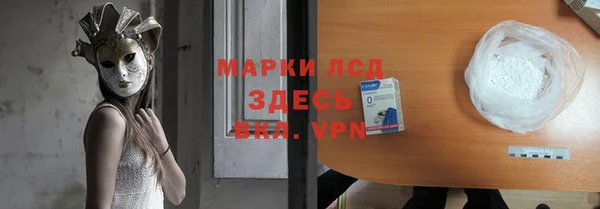 spice Новодвинск