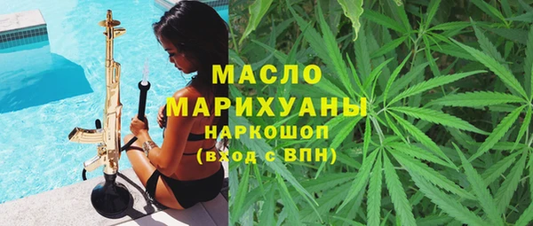 прущие грибы Новозыбков