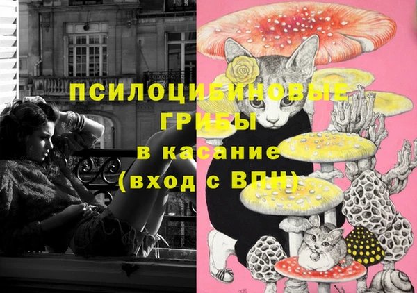 spice Новодвинск