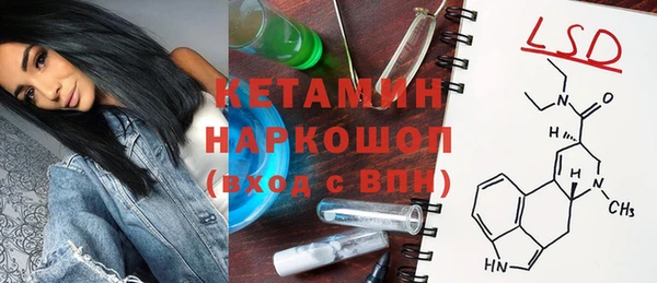 прущие грибы Новозыбков
