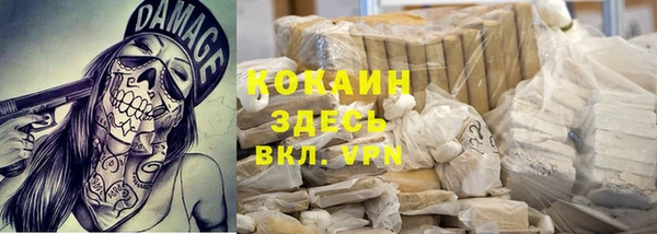 spice Новодвинск