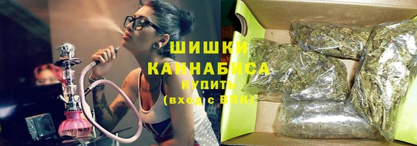 ПСИЛОЦИБИНОВЫЕ ГРИБЫ Новокубанск