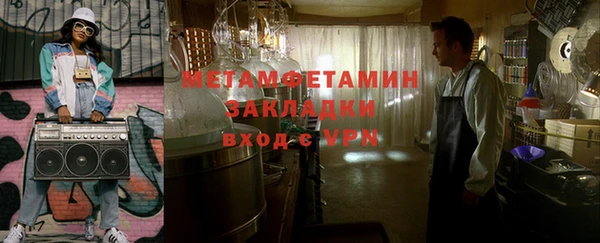 прущие грибы Новозыбков