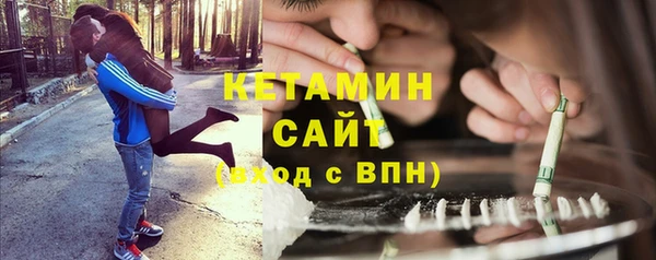 прущие грибы Новозыбков