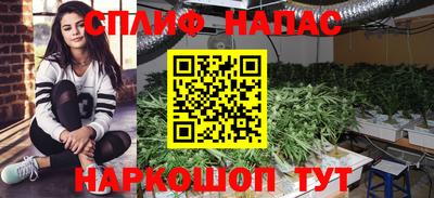 СК Бугуруслан