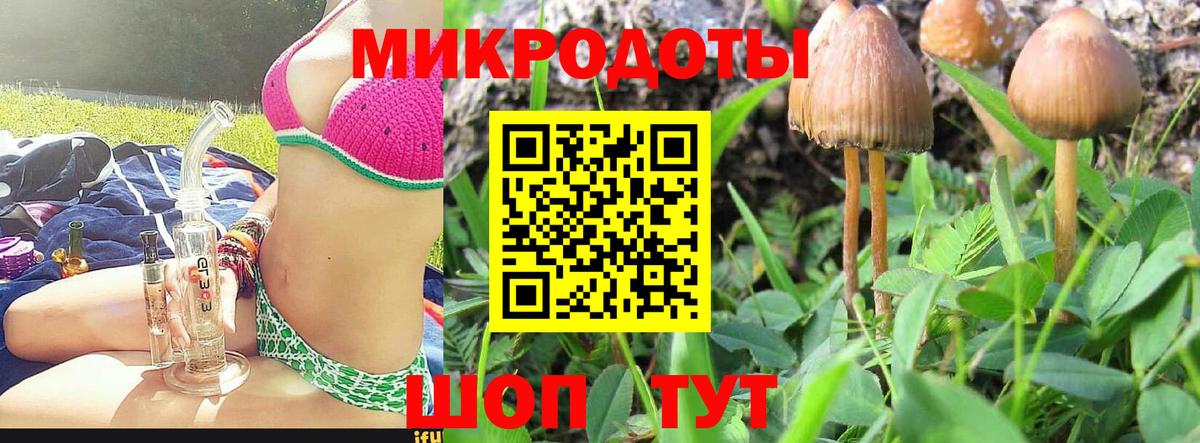 Истра  Галлюциногенные грибы мухоморы  Вход с VPN 
