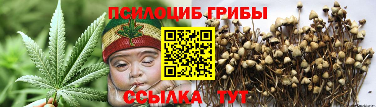 Галлюциногенные грибы GOLDEN TEACHER Истра